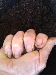 A fist holding a fistful of starter and squeezing it until a few small droplets of water leak out