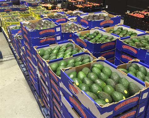 Case study – Avocados – Increase in bin weight