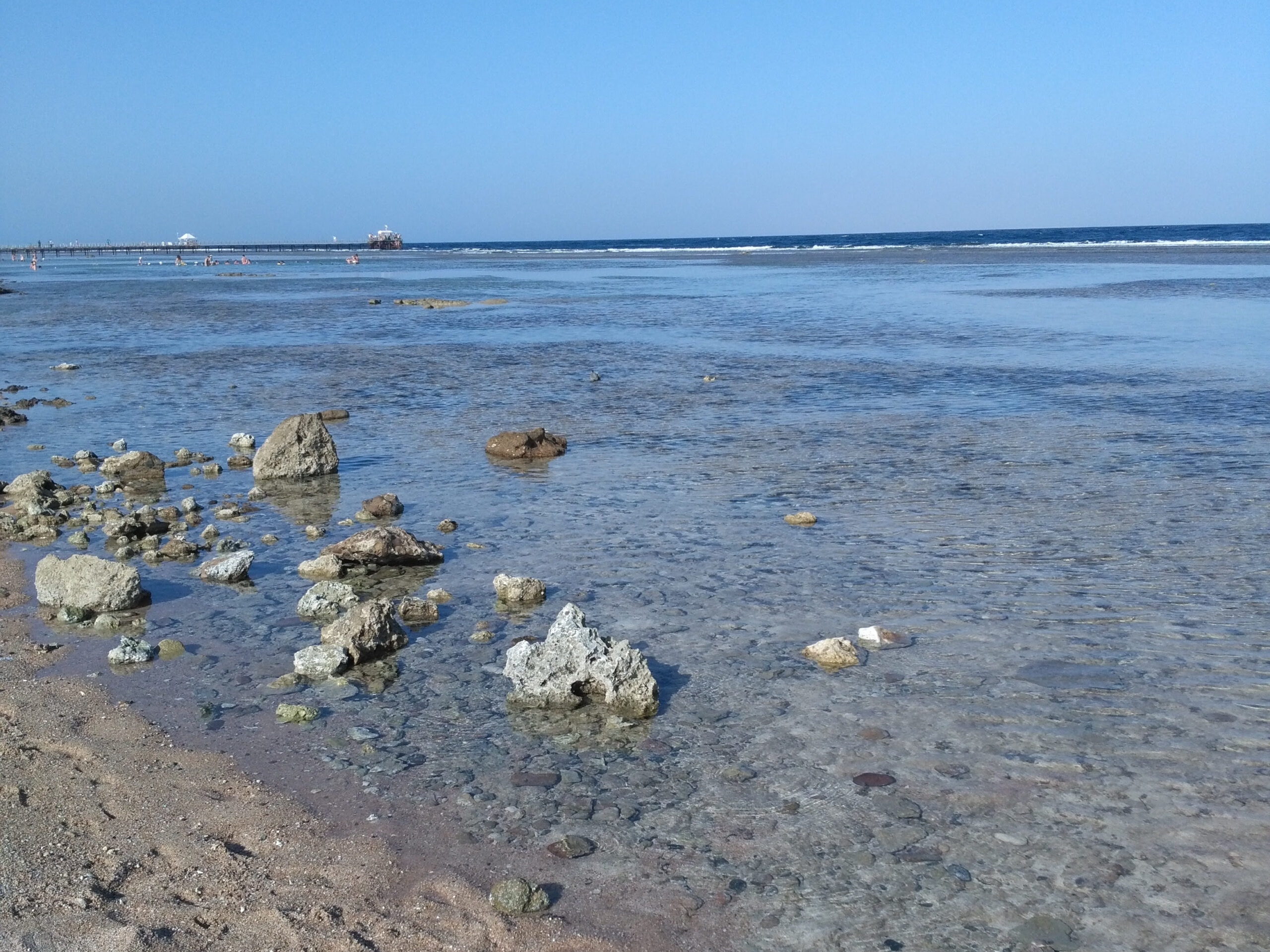 An Introduction to Sea minerals