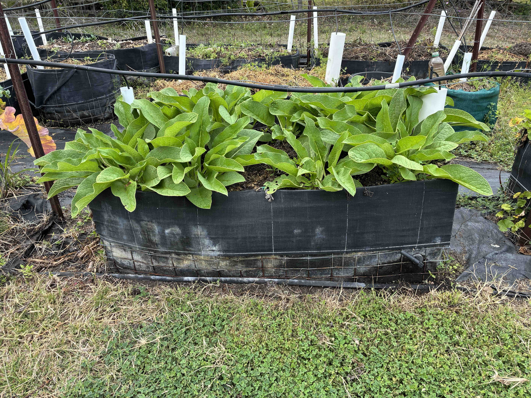 Lightweight Wicking Beds from Crab Pot Mesh and Weedmat